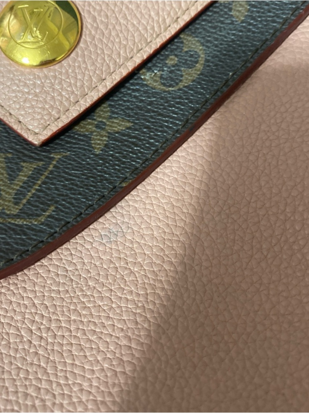 Louis Vuitton Rose Ballerine Leather and Monogram Coated Canvas Double V Bag - Picture 3 of 10